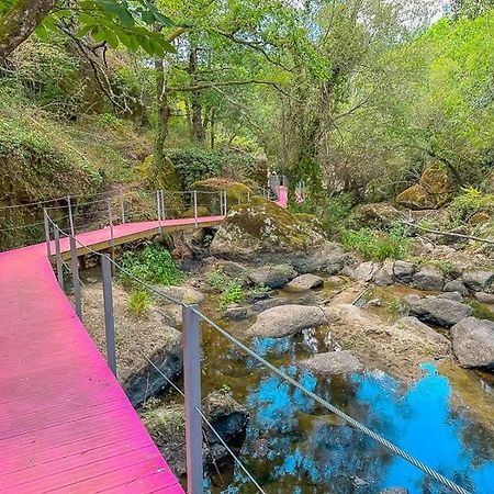 Casa Trilho The Gaios Panzió Tábua Kültér fotó