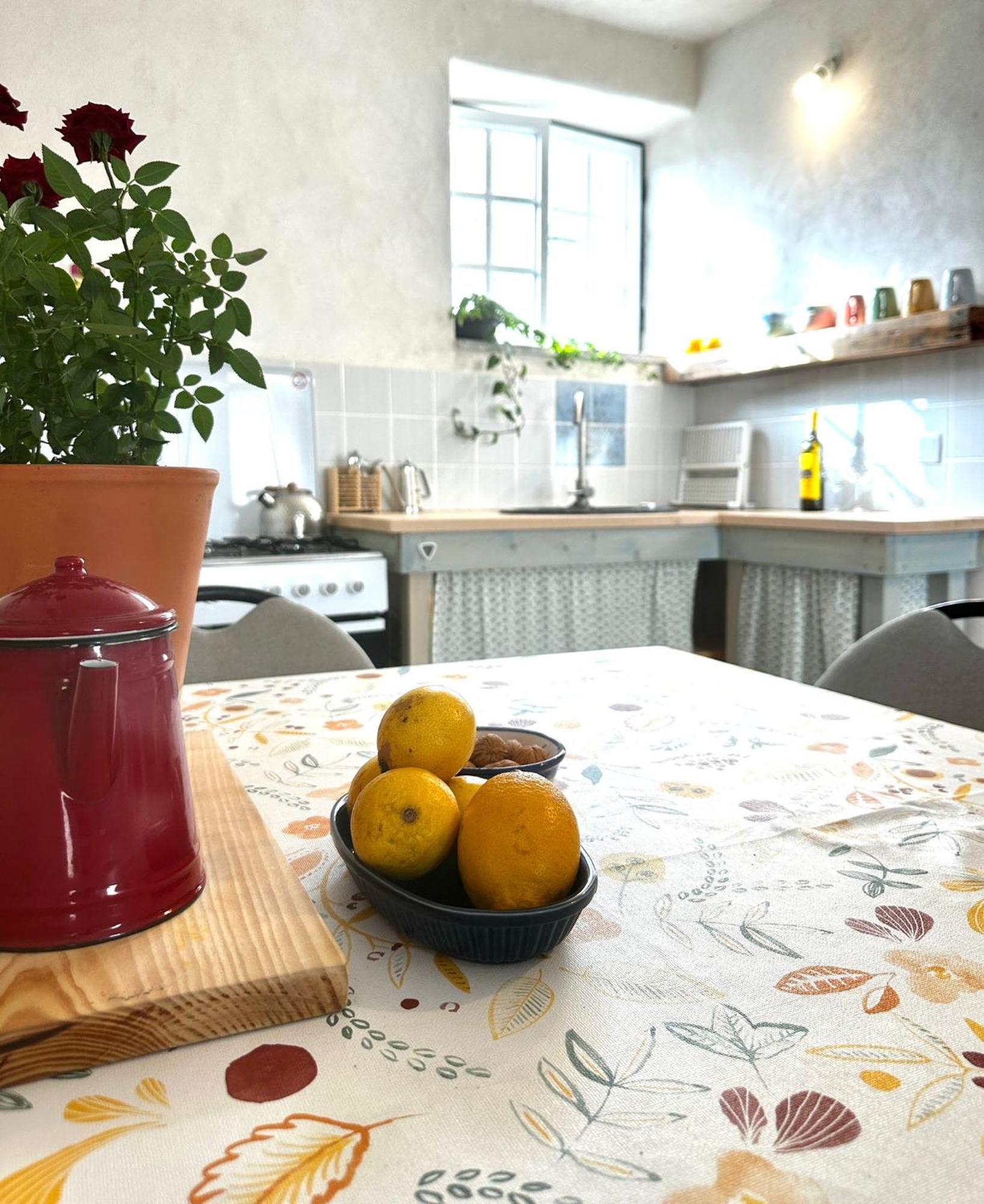 Casa Trilho The Gaios Panzió Tábua Kültér fotó