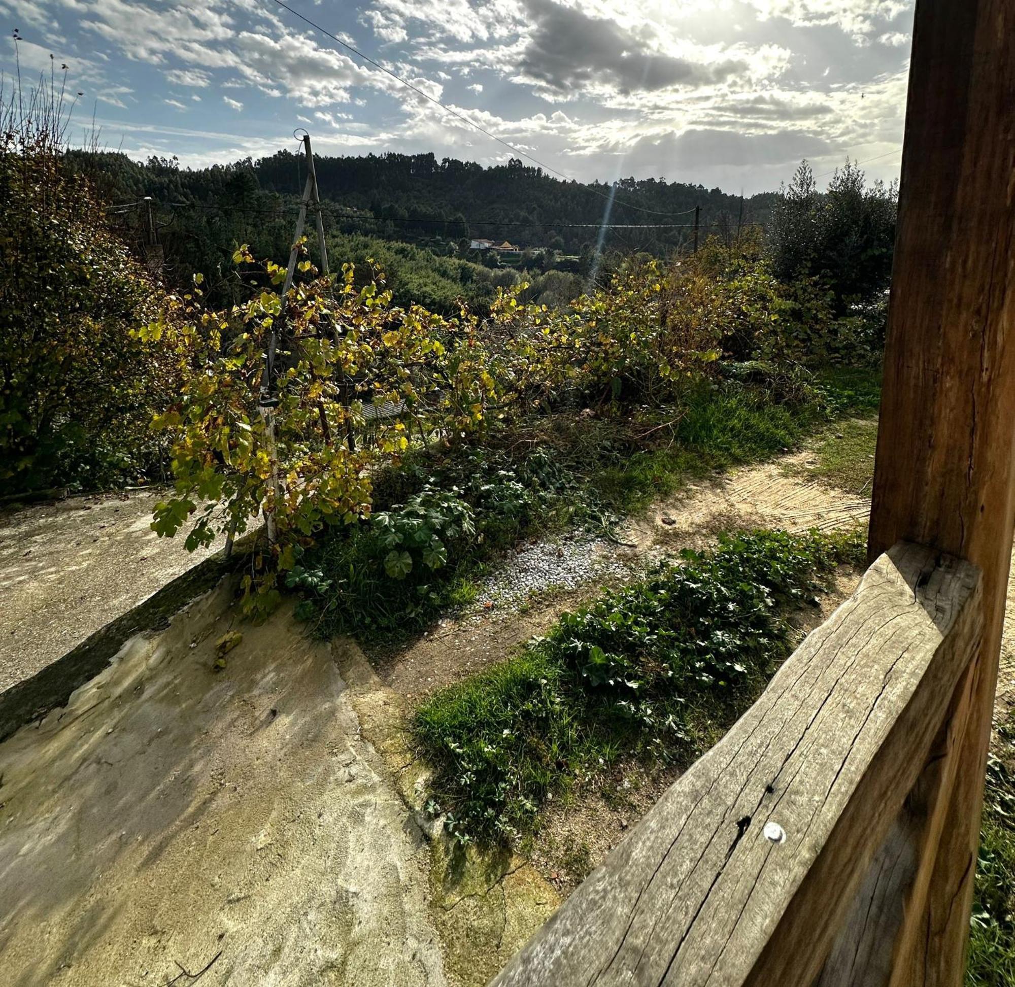 Casa Trilho The Gaios Panzió Tábua Kültér fotó