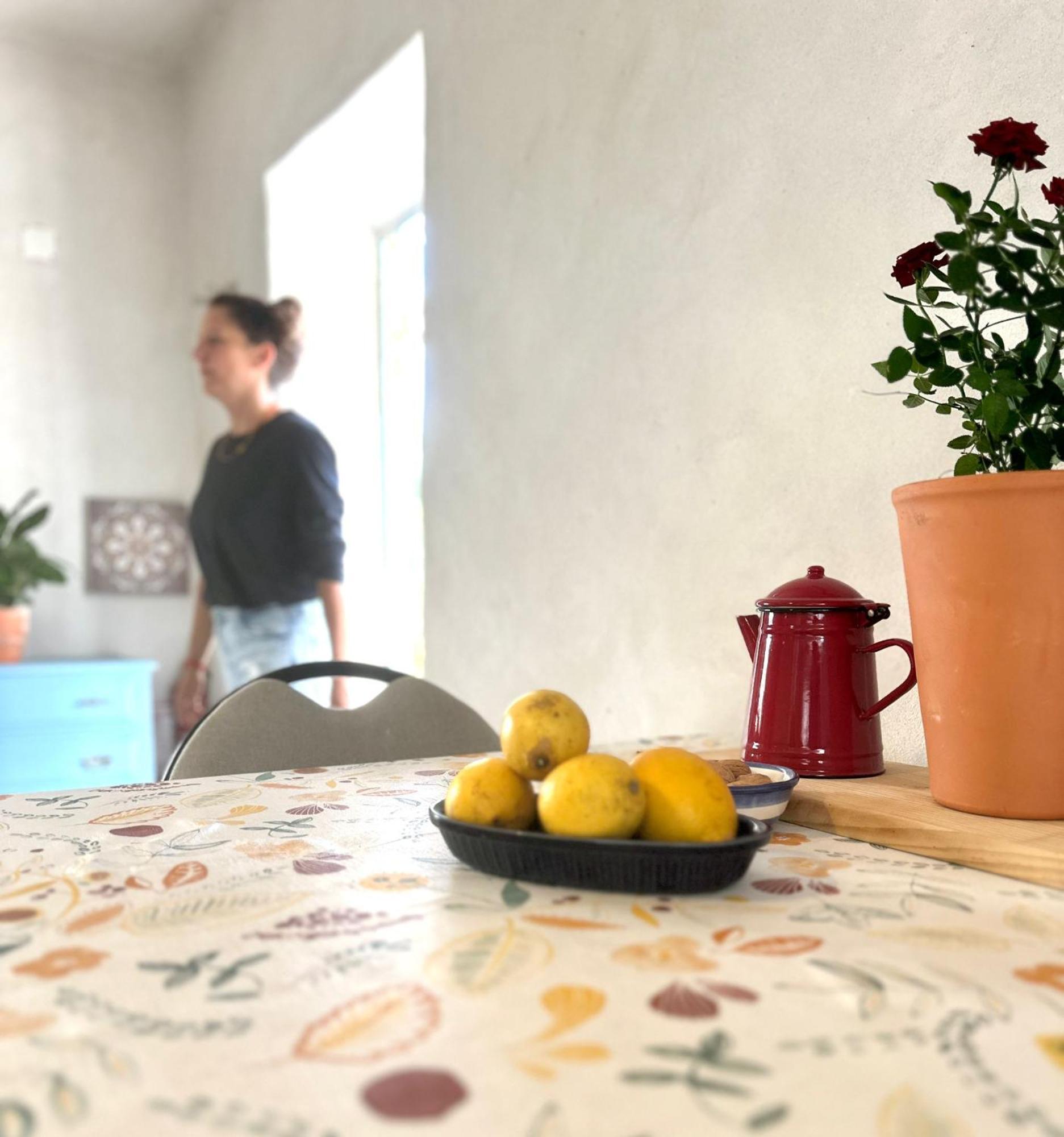 Casa Trilho The Gaios Panzió Tábua Kültér fotó