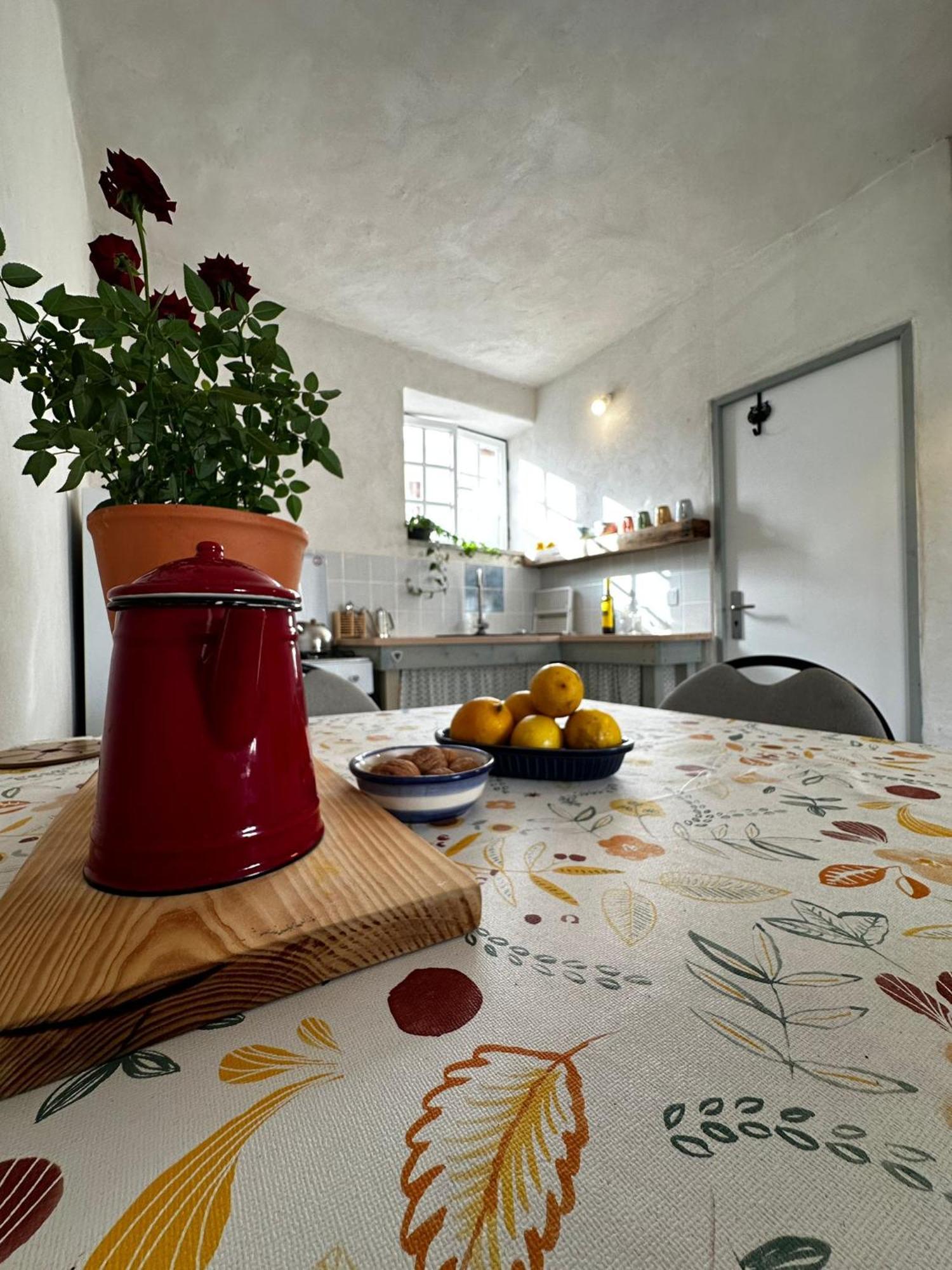 Casa Trilho The Gaios Panzió Tábua Kültér fotó